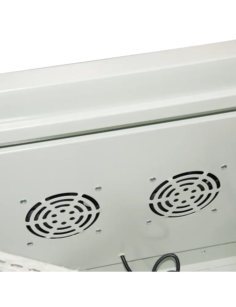 MARCA BLANCA Armario rack para pared - Hasta 9U rack de 19″ - Hasta 10