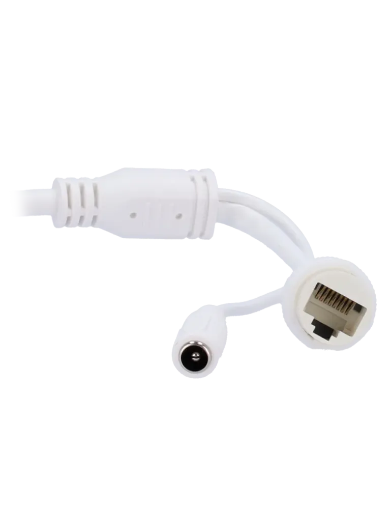 Safire Smart - Cámara Bullet IP gama B1 con luz dual - 1/3″ Progressiv