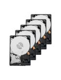 Descubre el Pack de 10 discos duros 10XHD4TB de WESTERN DIGITAL