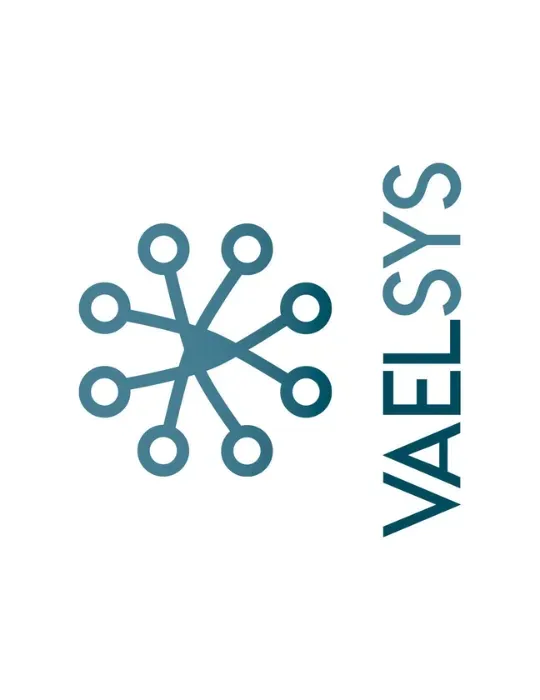 VAELSYS DW-001: Análisis HD 720p para Seguridad Profesional