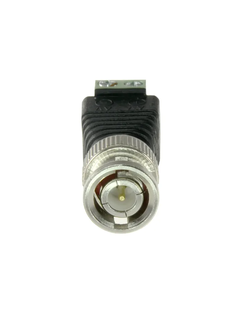Safire - Conector BNC macho - Salida +/ de 2 terminales - 40 mm (Fo) -