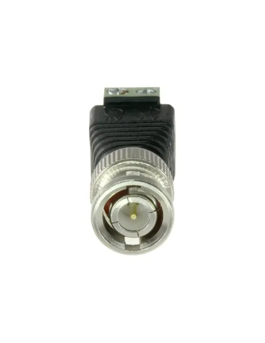 Safire - Conector BNC macho - Salida +/ de 2 terminales - 40 mm (Fo) -