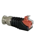 Safire - Conector BNC macho de fácil conexionado - Salida +/ de 2 term