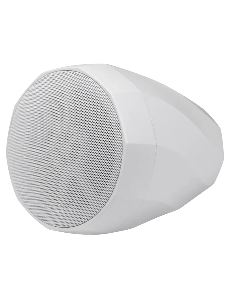 DSPPA Altavoz colgante - 2 vías: Woofer 5.25″ Reflex + Tweeter 1″ - Po