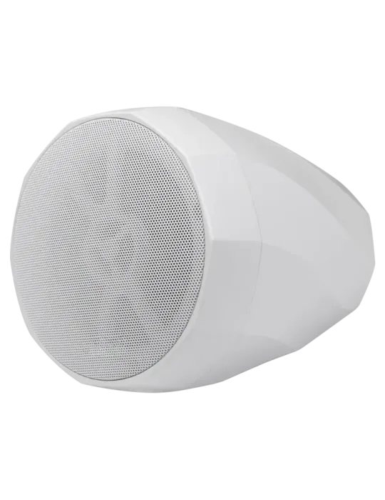 DSPPA Altavoz colgante - 2 vías: Woofer 5.25″ Reflex + Tweeter 1″ - Po