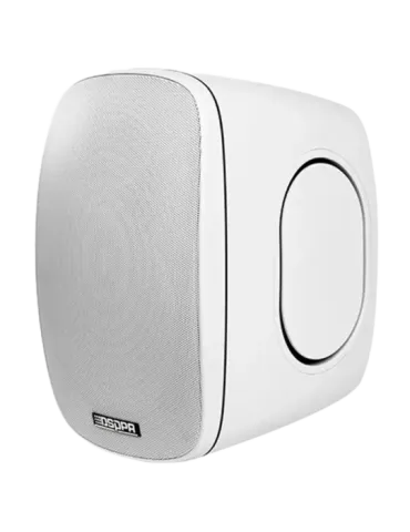 DSPPA Altavoz de techo - Altavoz de rango completo 1x6.5″ + 1x1″ - Pot