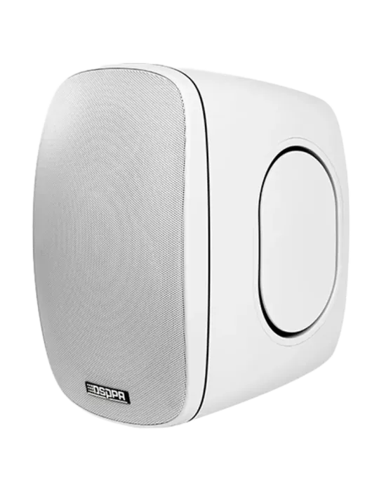 DSPPA Altavoz de techo - Altavoz de rango completo 1x6.5″ + 1x1″ - Pot