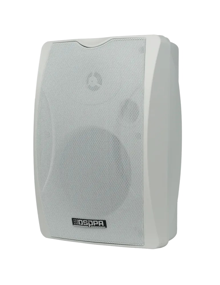 DSPPA Altavoz de techo - Altavoz de rango completo 1x5″ + 1x1″ - Poten