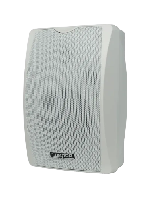 DSPPA Altavoz de techo - Altavoz de rango completo 1x5″ + 1x1″ - Poten