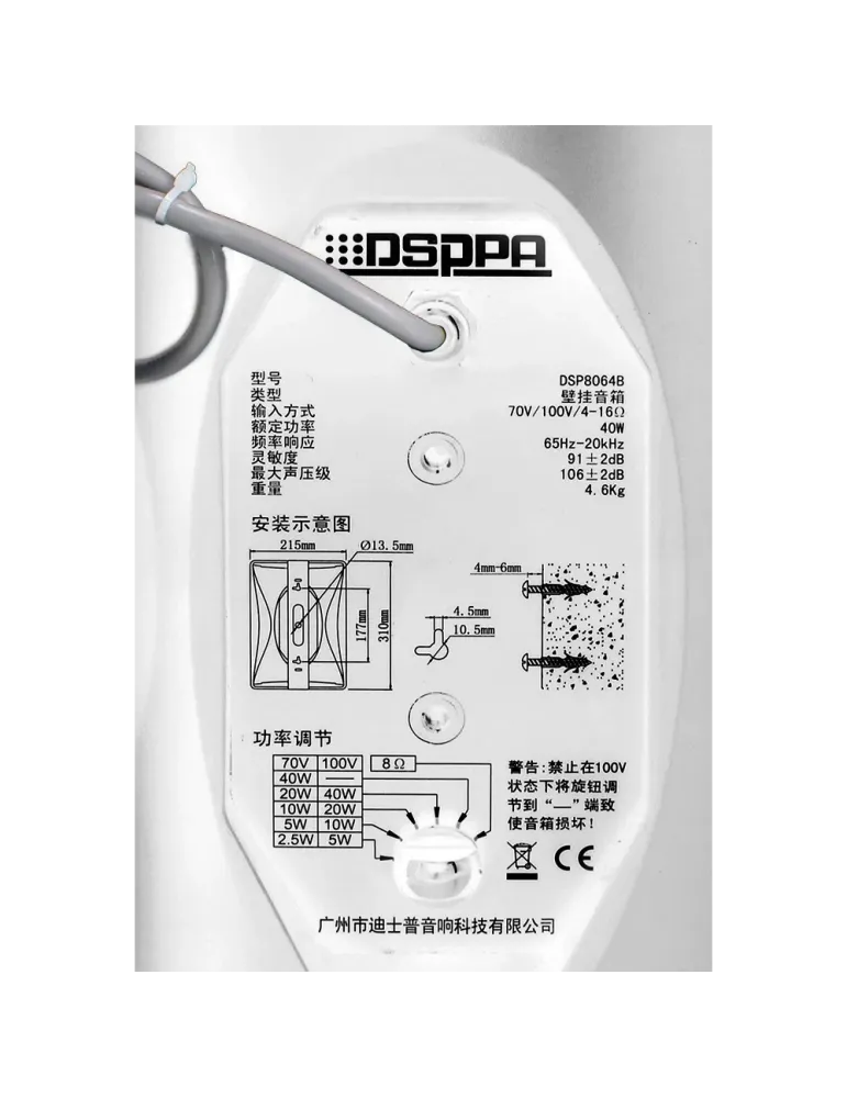 DSPPA Altavoz de techo - Altavoz de rango completo 1x6.5″ + 1x1″ - Pot