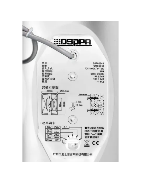DSPPA Altavoz de techo - Altavoz de rango completo 1x6.5″ + 1x1″ - Pot