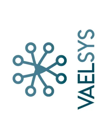 VAELSYS DW-001: Análisis HD 720p para Seguridad Profesional