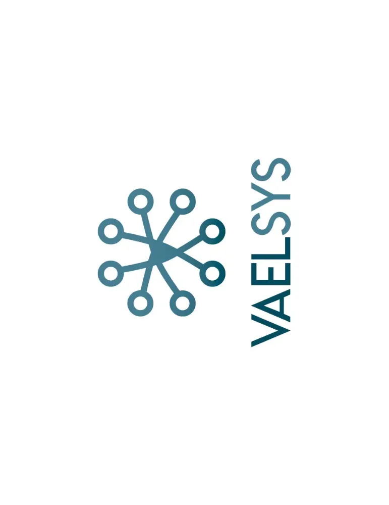 VAELSYS DW2-TAID-001: Análisis Térmico Profesional Eficiente