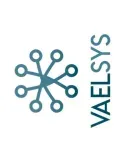 VAELSYS DW2-TAID-001: Análisis Térmico Profesional Eficiente