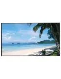DAHUA LM55-S400-S-V1: Pantalla 4K Ultra HD para Seguridad