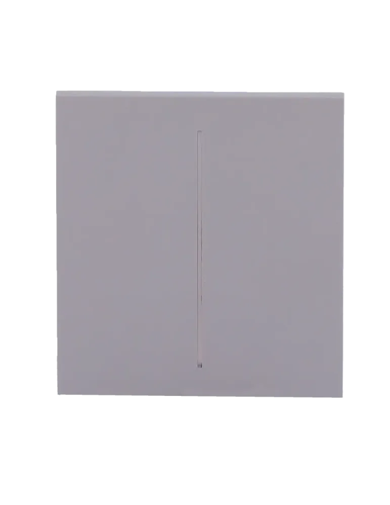 Compra el Panel Táctil Central para Interruptor de Luz Doble AJAX - G