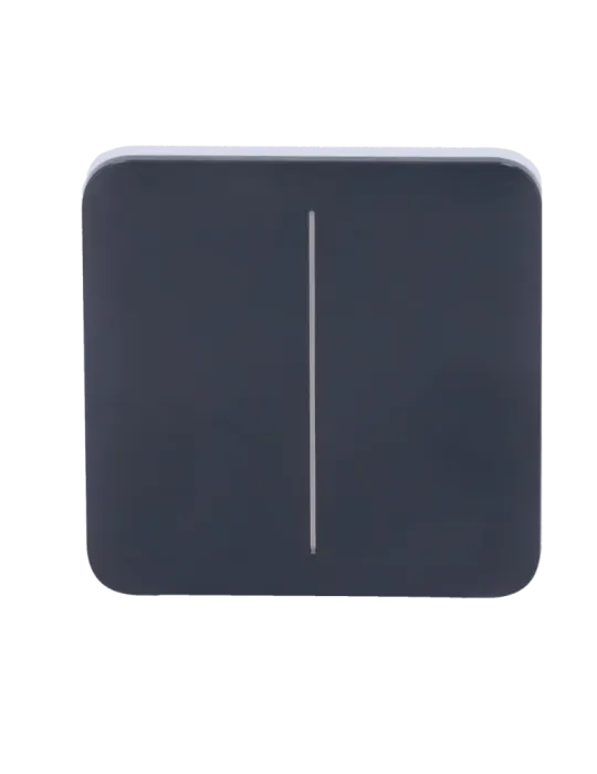 Compra Ahora el Panel Táctil LED Grafito para Interruptor de Luz Dobl