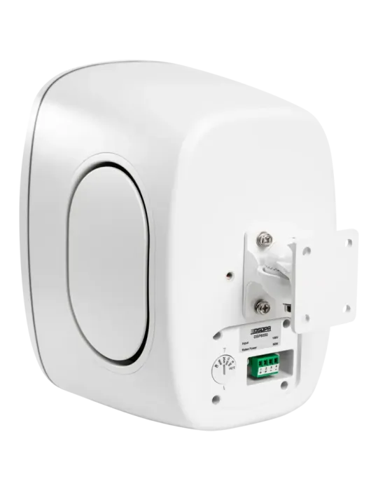 DSPPA Altavoz de techo - Altavoz de rango completo 1x6.5″ + 1x1″ - Pot
