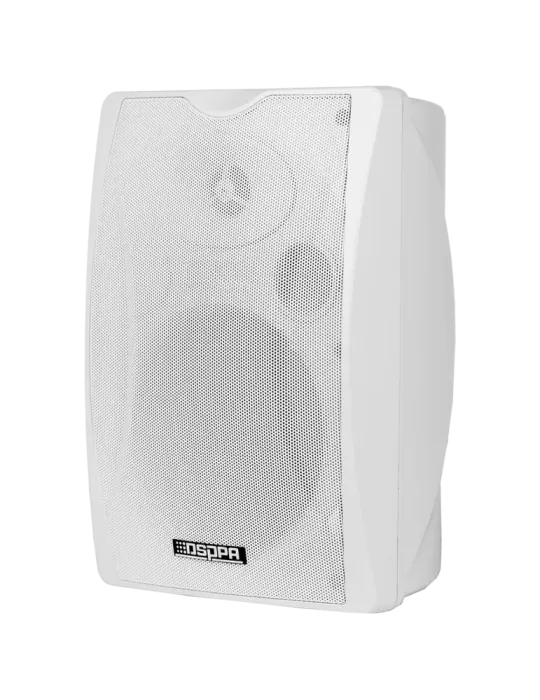DSPPA Altavoz de techo - Altavoz de rango completo 1x5″ + 1x1″ - Poten