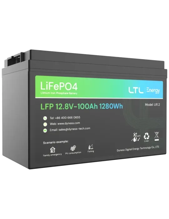 DYNESS Batería estacionaria - Capacidad 1280Wh - LiFePO4 12V / 100Ah -