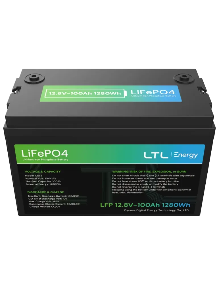 DYNESS Batería estacionaria - Capacidad 1280Wh - LiFePO4 12V / 100Ah -