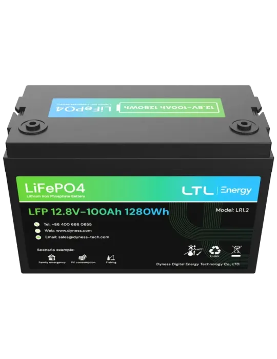 DYNESS Batería estacionaria - Capacidad 1280Wh - LiFePO4 12V / 100Ah -