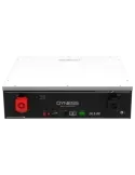 DYNESS Batería estacionaria - Capacidad 5120Wh - LiFePO4 51.2V / 100Ah