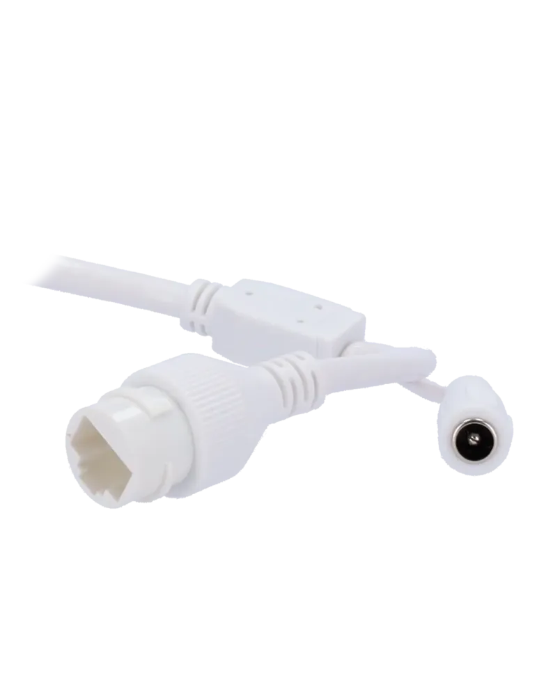 EASYP Cámara Turret IP AI EASY-P - 4MP | Lente Motorizada 2.7 ~ 13.5 m