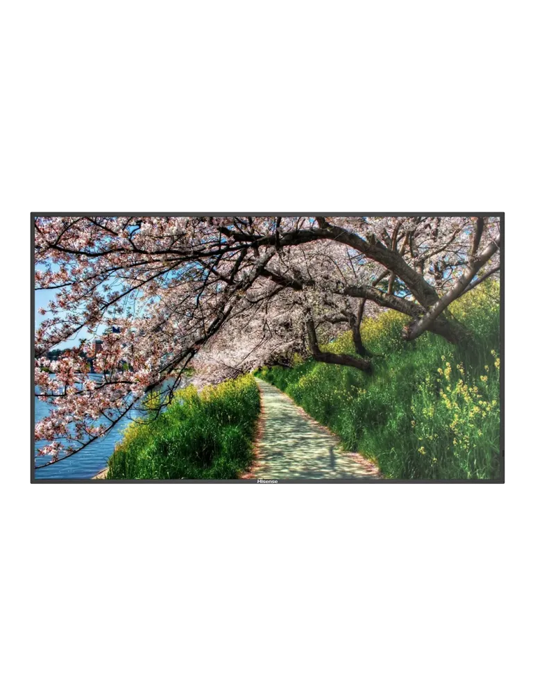 HISENSE Monitor HISENSE DLED 4K 86″ | Serie E - Resolución 3840x2160 -